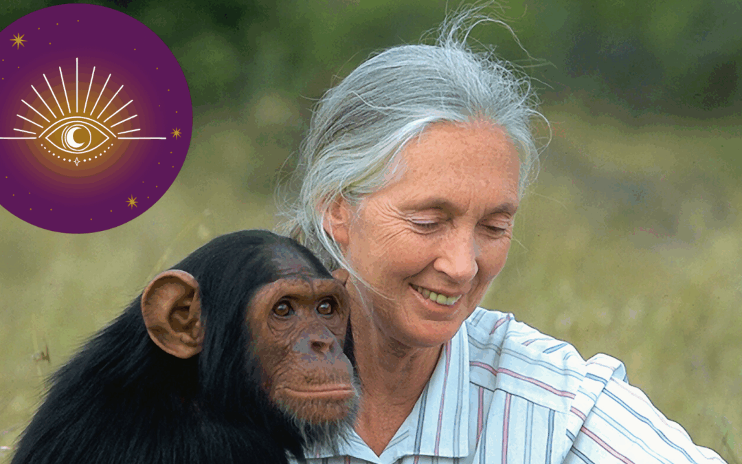 Moderne profeten en mystici – Jane Goodall