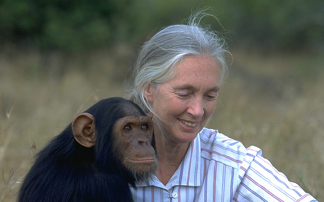Moderne profeten en mystici – Jane Goodall
