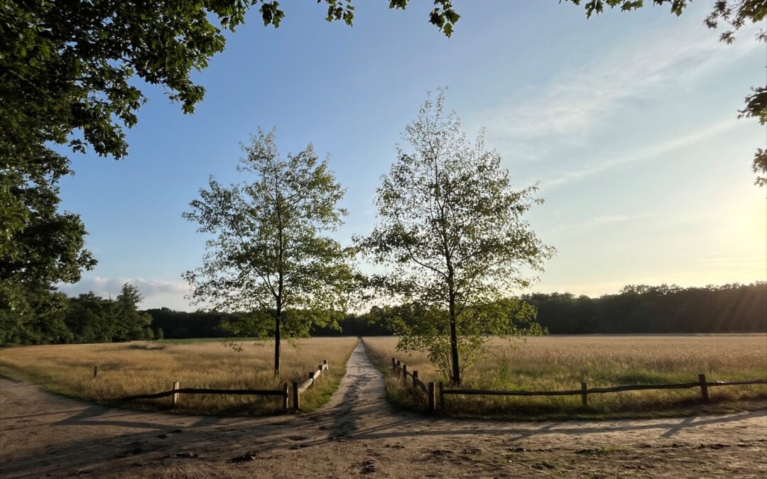 Wandelkring – rondom Bilthoven